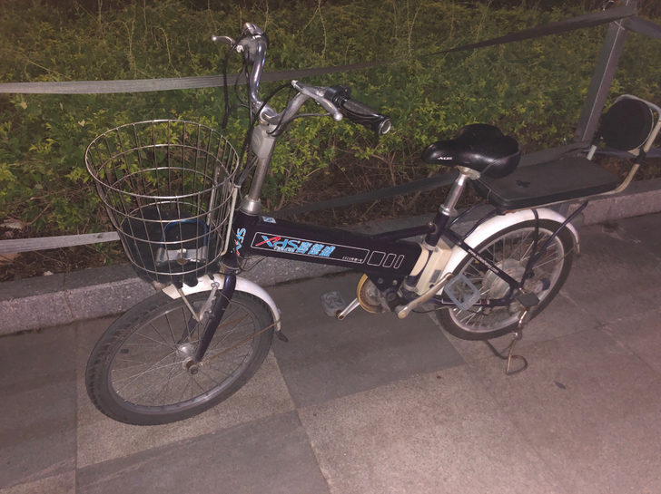 喜德盛传奇1号电动自行车,铝车架,电池放太...