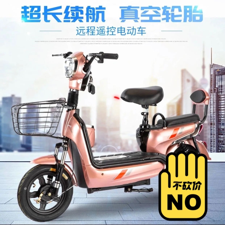 厂家直销电动车电瓶车双人两轮车21新款锂电...