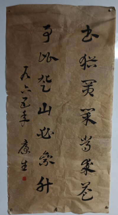 康生2