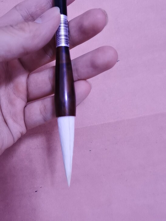 雪峰斋东方玉兰
