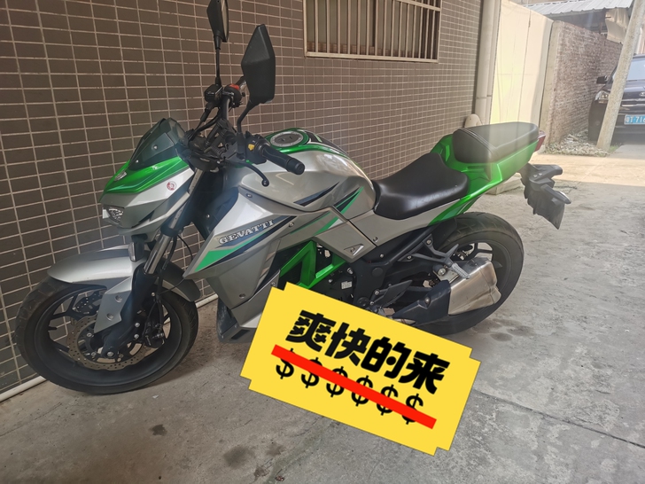 菜花蛇N19（200cc）单杠整车完美。