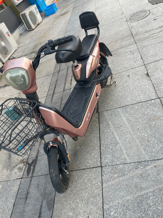 龙玛电动车，刚骑几个月，9成新，700元出！