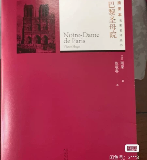 卖二手书,呼啸山庄,傲慢与偏见,巴黎圣母院...