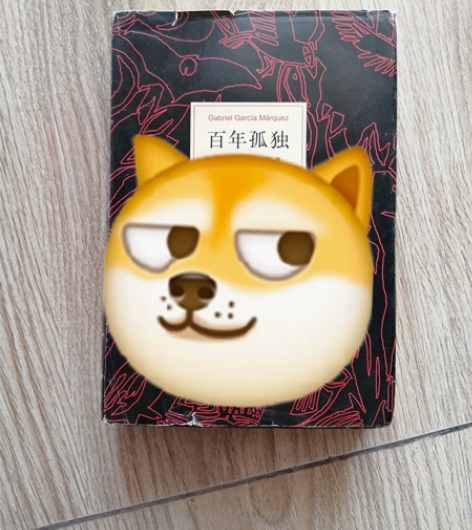 公仔下的百年孤独要出的 感兴趣的话点“我想...