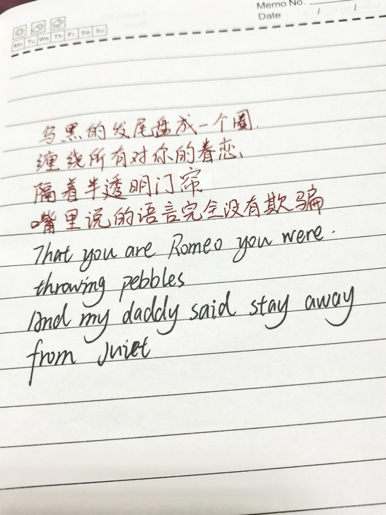 全网最低价抄写,手写,笔记