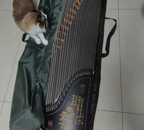 闲置古筝出售！品相自观！相中了私信！ 感兴...
