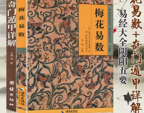两册奇门遁甲详解梅花易数易经白话精解周易本...
