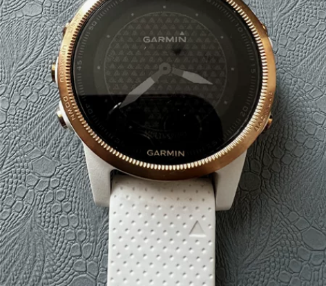 佳明飞耐时户外运动专业手表Garmin F...
