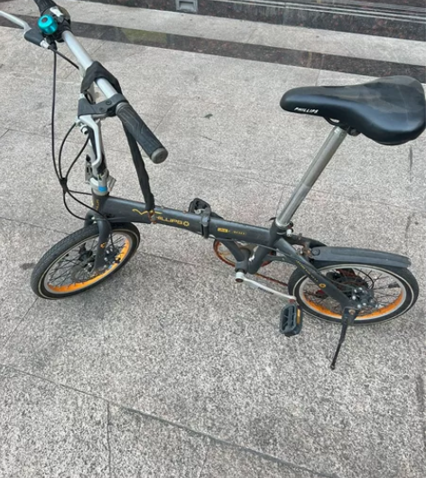 菲利普单车 折叠自行车 高碳钢 14寸 碟...