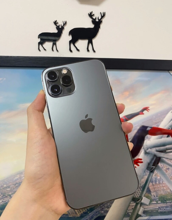 苹果12promax  石墨色  256g