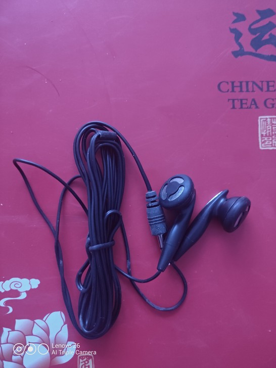 当垃圾处理耳塞式耳机 佩戴方式：耳塞式 是...