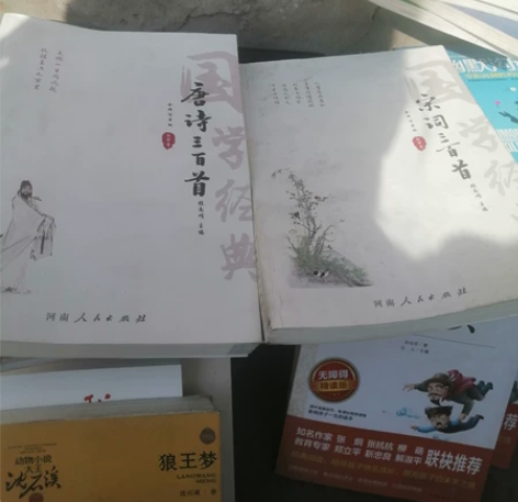 九成新的唐诗三百首，宋词宋词三百首，原价共...