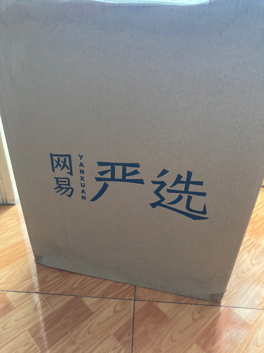 网易严选黑凤梨20英寸PC膜拉链旅行箱拉杆...