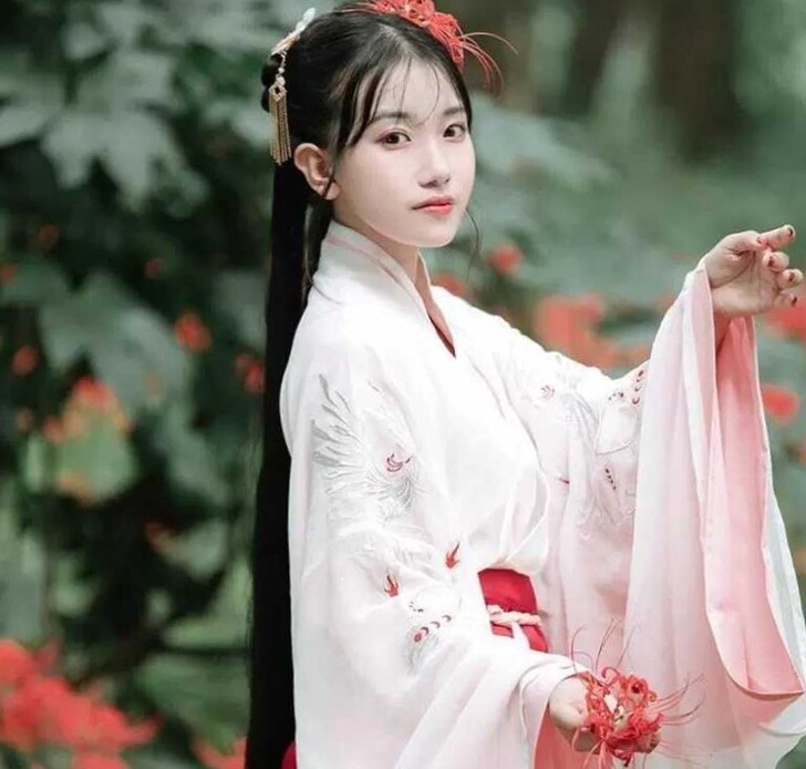 梨花渡【红笺】（已绝版）