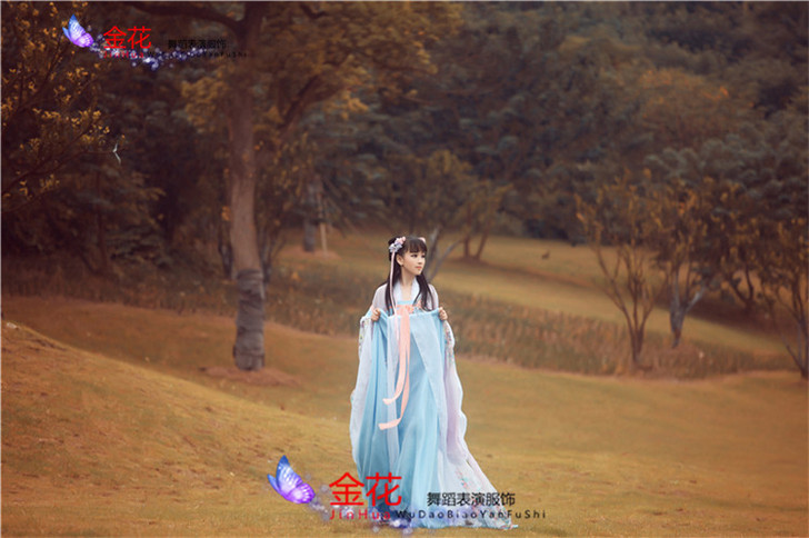 2016新款古装飘逸仙女演出服装女款成人汉...