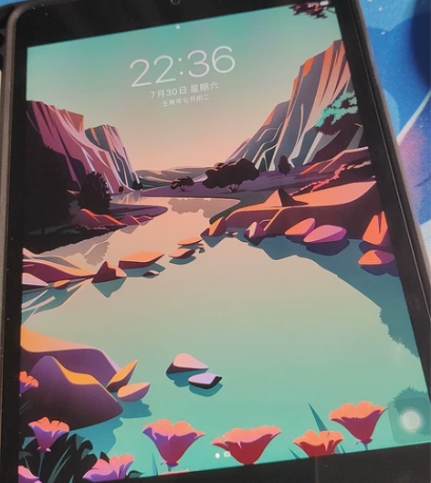 2019款Apple/苹果iPad min...