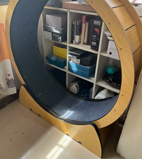 大号猫咪跑步机，家里两个猫都不感兴趣，他俩...