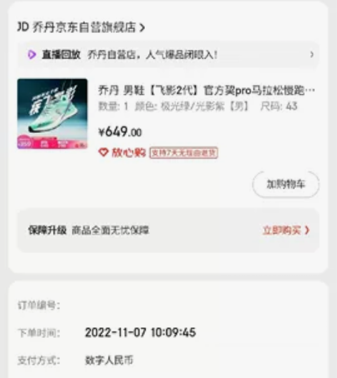 乔丹飞影pb2稳定版（就是比全掌碳板低一档...
