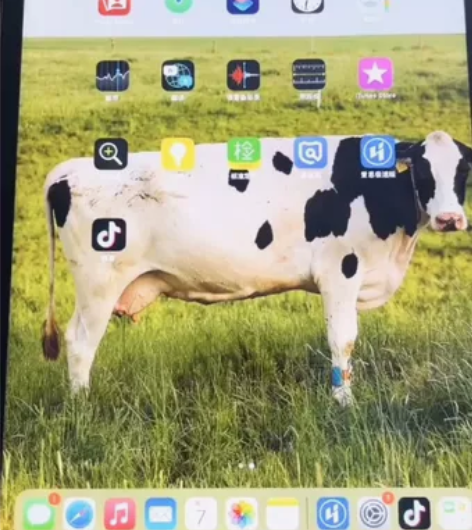 2020款ipad苹果Apple平板电脑i...