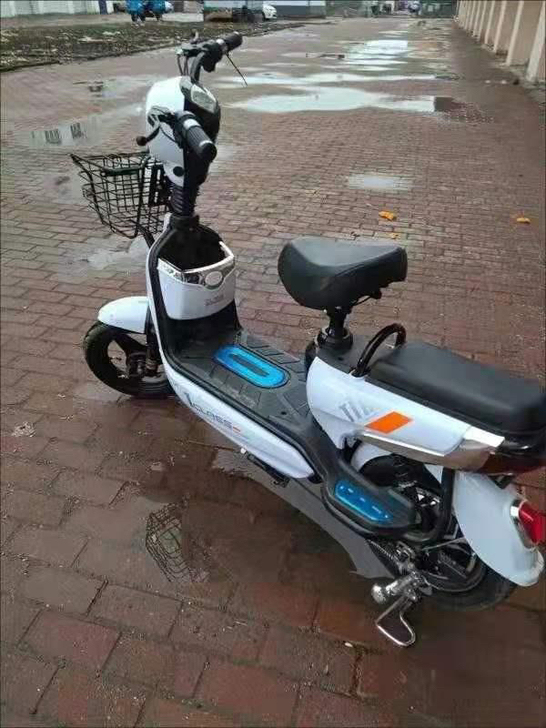新款电动车成人电瓶车48v双人电动自行车小...