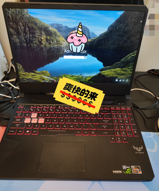 华硕(ASUS) 飞行堡垒7 FX95DU...