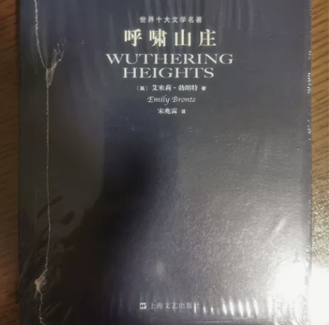 呼啸山庄 正版 全新 感兴趣的话点“我想要...