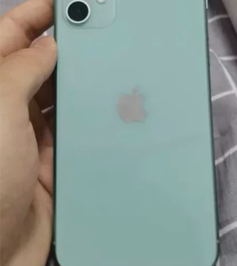 Apple/苹果 iPhone 11自用功...