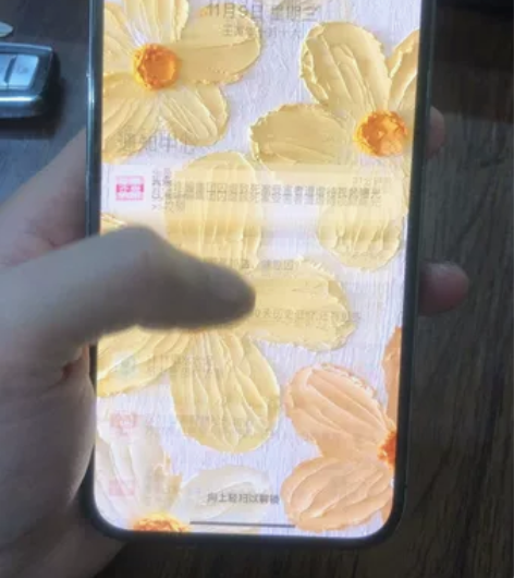 iPhone 12 Pro Max全原12...