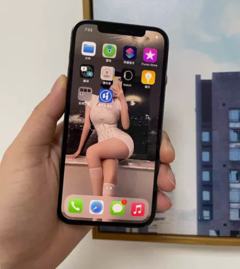 女生一手自用苹果iPhone 12Prom...