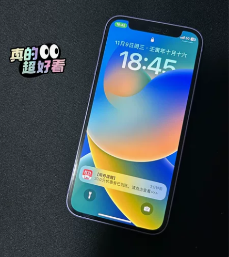 自用国行iPhone 12 mini 12...