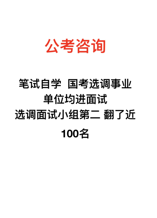公考咨询 公务员咨询  选调生咨询 事业单...