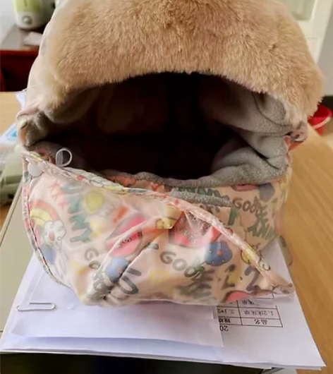 帽子加厚加绒雷锋帽防雾骑车电动车保暖神器防...