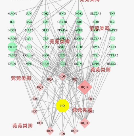 专业网络药理学,分子对接 可帮分析,可教学...