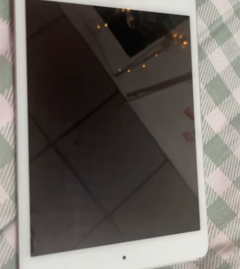 Apple/苹果 iPad mini5 2...