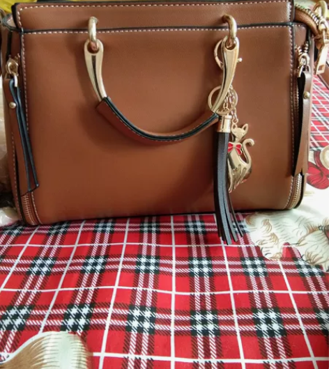 捡漏女士大号背包手提包 宽约27高21厚1...