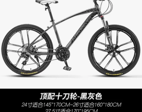 江苏连云港赣榆.上海永久牌新型山地自行车男...