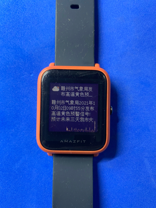 华米AMAZFIT米动手表青春版 型号A1...