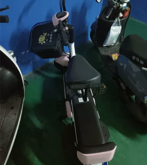 台铃粉色电动车，原打算买给老人接送小孩上下...