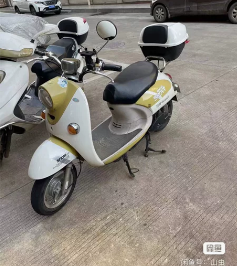 有发票东阳白牌，台铃电动车，开车了不骑。2...