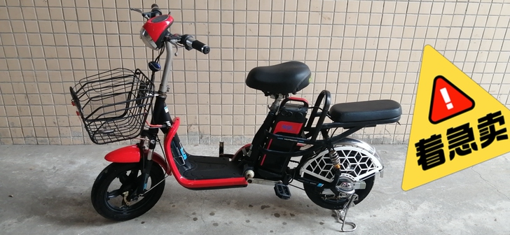 580锂电池可提出来充电