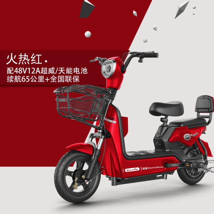 新国标电动车成人电动自行车48V电瓶车男女...