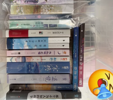 出言情小说 青春文学 感兴趣的话点“我想要...