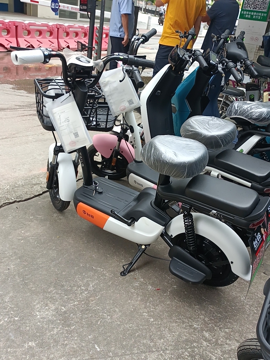 小彩豆L一G优越版，EB国标，台铃电动车，...