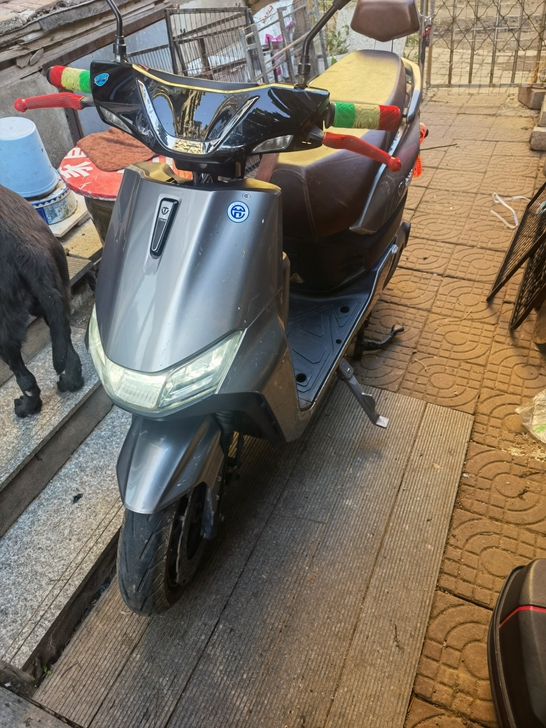 台铃虎贲十个月车带72-35电池3000不...