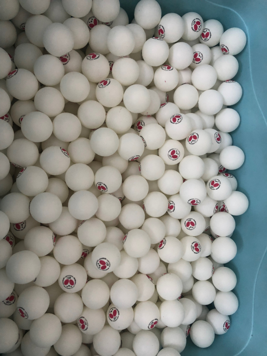 乒乓球日本蝴蝶乒乓球，工厂本来要销毁偷偷带...