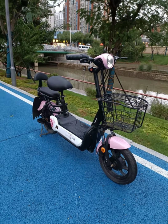 9新台铃电动车，48伏锂电池，电池换了几个...