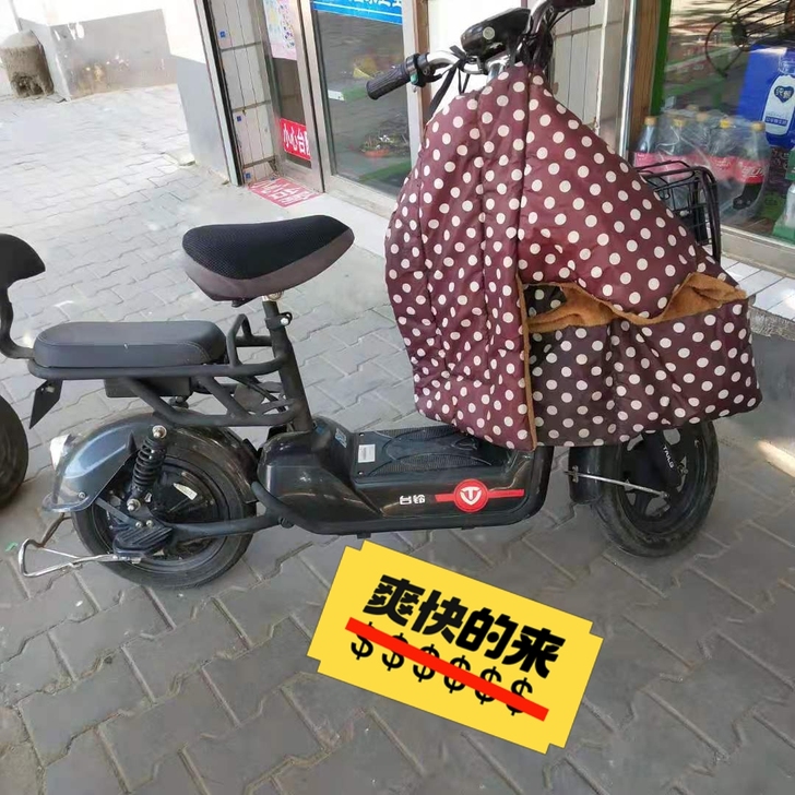 台铃电动车，几乎全新，闲置了，便宜出售，2...