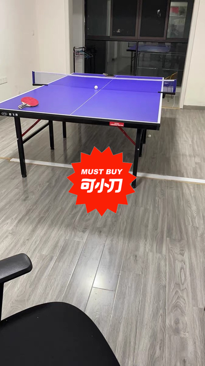 双飞胜 乒乓球台