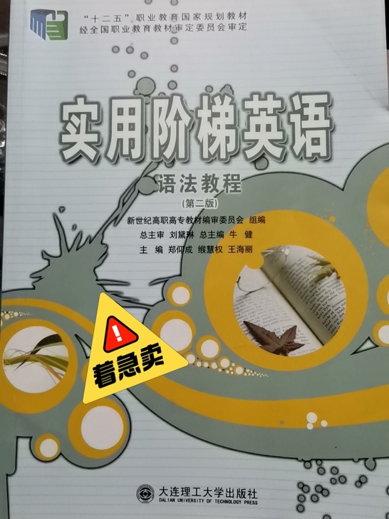 实用阶梯英语 语法课程(第二版)