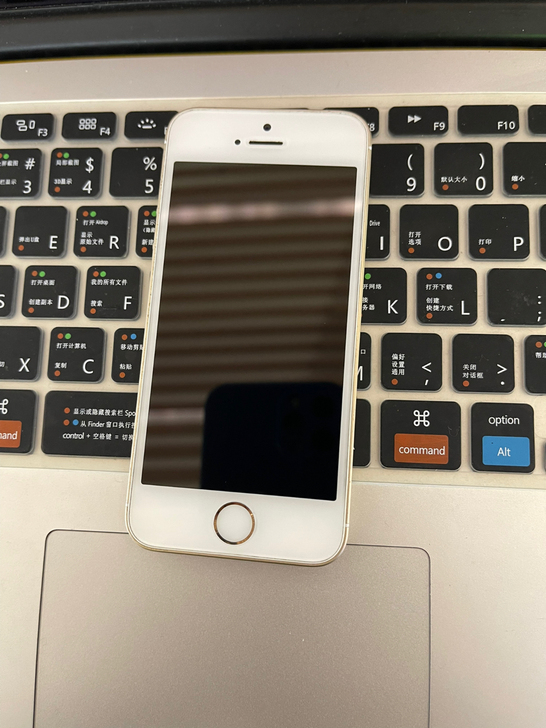 闲置经典苹果se,土豪金,国行64g, 成...